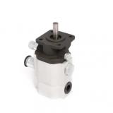 KAWASAKI 07438-67300 D Series Pump