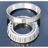 2.559 Inch | 65 Millimeter x 5.512 Inch | 140 Millimeter x 1.299 Inch | 33 Millimeter  CONSOLIDATED BEARING NU-313E  Cylindrical Roller Bearings